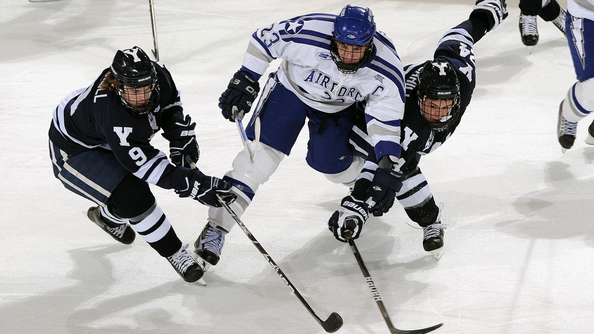 _梦想体育嘉年华：全民参与的欢乐盛典_，体育梦之队